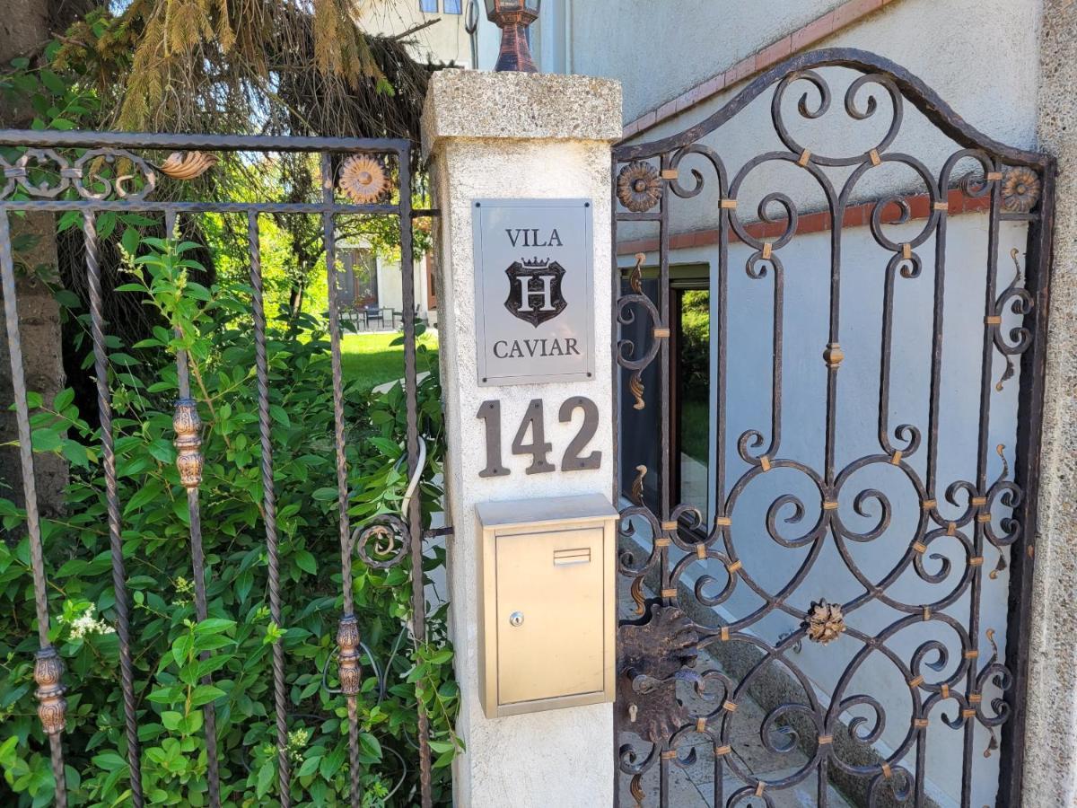 Hotel Vila Caviar Sulina Zewnętrze zdjęcie